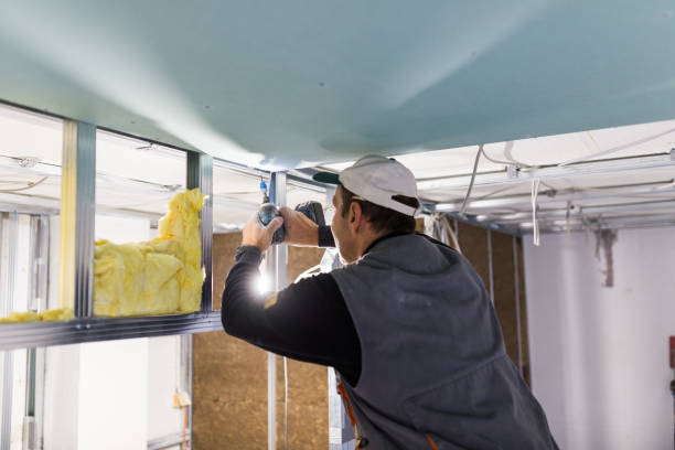 Best Residential Insulation in Air Force Academy, CO